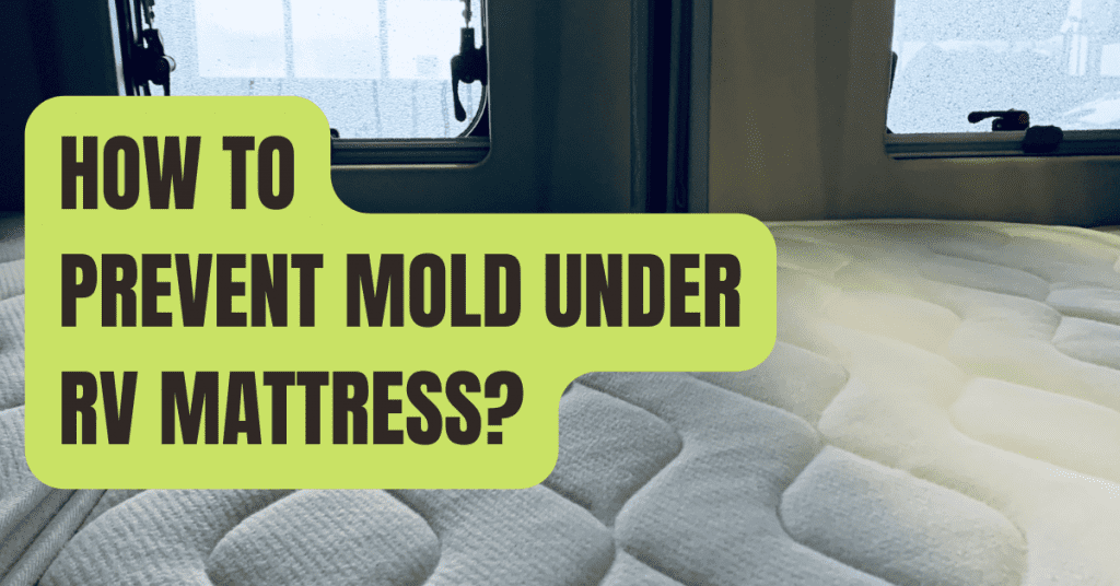 How to Prevent Mold Under RV Mattress?