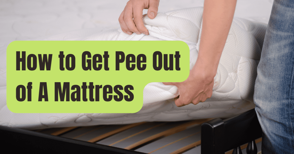 can you get pee out of mattress